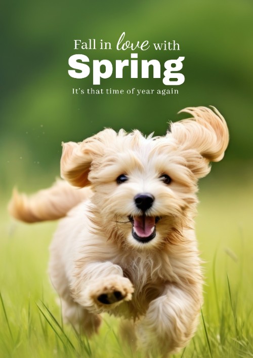 Spring
